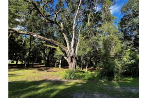 TBD LAKE VIEW DRIVE, OCALA, FL 34482 - MLS#MFROM706467