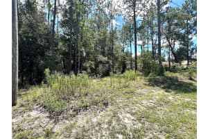 0000 68 LOOP LOOP, DUNNELLON, FL 34432 Sold 08/25/25