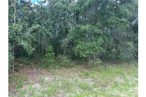 TBD SW 144TH ST RD, OCALA, FL 34471 - MLS#MFROM706496
