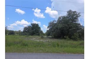 Lot 14 SW VIOLA COURT, DUNNELLON, FL 34431 - MLS#MFROM706529