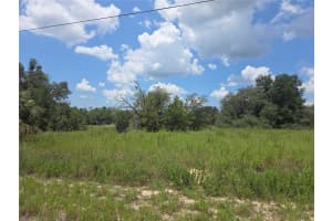 Lot 14 SW VIOLA COURT, DUNNELLON, FL 34431 - MLS#MFROM706529