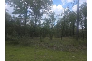 Lot 3 SE 129 COURT, DUNNELLON, FL 34431 - MLS#MFROM706535