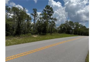 00 RAINBOW LAKES BOULEVARD, DUNNELLON, FL 34431 - MLS#MFROM706559