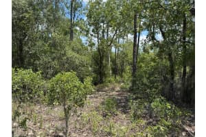 00 RAINBOW LAKES BOULEVARD, DUNNELLON, FL 34431 - MLS#MFROM706559