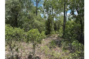 00 RAINBOW LAKES BOULEVARD, DUNNELLON, FL 34431 - MLS#MFROM706559