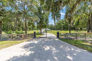 16170 53RD STREET, MORRISTON, FL 32668 Sold 12/12/25