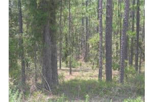 Lot 34 128 AVENUE, DUNNELLON, FL 34431 - MLS#MFROM706601