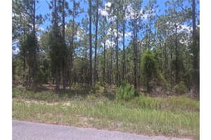 Lot 34 128 AVENUE, DUNNELLON, FL 34431 - MLS#MFROM706601