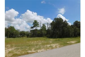 TBD 100 STREET, OCALA, FL 34476 - MLS#MFROM706615