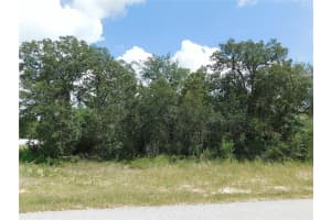 TBD 100 STREET, OCALA, FL 34476 - MLS#MFROM706615