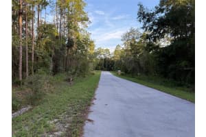 TBD SOUTH WATER COURT, DUNNELLON, FL 34431 - MLS#MFROM706660