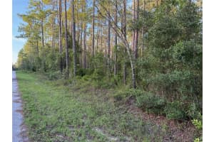 TBD SOUTH WATER COURT, DUNNELLON, FL 34431 - MLS#MFROM706660