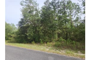 Lot 10 MANGO LANE, DUNNELLON, FL 34431 Sold 09/05/25