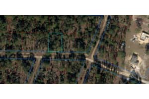 TBD 11TH PLACE, WILLISTON, FL 32696 - MLS#MFROM706716