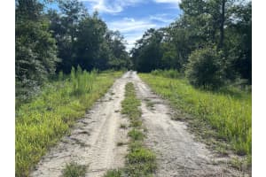 TBD 11TH PLACE, WILLISTON, FL 32696 - MLS#MFROM706716
