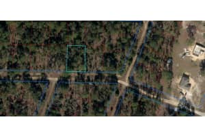 TBD 11TH PLACE, WILLISTON, FL 32696 - MLS#MFROM706716