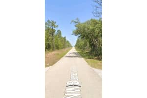 LOT 18 BUENA VISTA ROAD, DUNNELLON, FL 34431 - MLS#MFROM706730