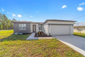 64 PECAN RUN, OCALA, FL 34472 - MLS#MFROM706746