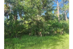 18193 POSTON AVENUE, PORT CHARLOTTE, FL 33948 - MLS#MFROM706757