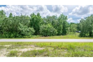 lot24 TIGER LAKE BOULEVARD, DUNNELLON, FL 34431 - MLS#MFROM706791