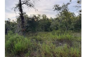 3297 BREEZY POINT, DUNNELLON, FL 34431 Sold 08/29/25