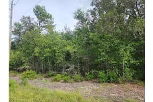 Lot 13 RAINBOW LAKES BOULEVARD, DUNNELLON, FL 34431 - MLS#MFROM706802