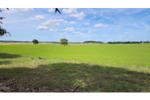 Lot 27 PINE BLUFFS ROAD, DUNNELLON, FL 34431 - MLS#MFROM706808