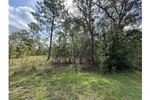 TBD TEMPLE HEIGHTS COURT, DUNNELLON, FL 34431 - MLS#MFROM706816