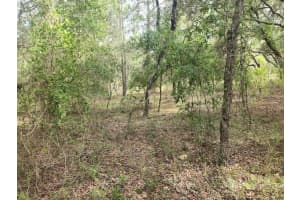 Lot 3 NECTARINE LANE, DUNNELLON, FL 34431 - MLS#MFROM706823