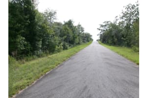 Lot 3 NECTARINE LANE, DUNNELLON, FL 34431 - MLS#MFROM706823