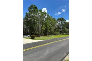 116 CORKWOOD, HOMOSASSA, FL 34446 - MLS#MFROM706826