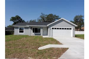 114 MALAUKA LOOP, OCKLAWAHA, FL 32179 - MLS#MFROM706849