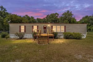 2209 178TH STREET, SUMMERFIELD, FL 34491 - MLS#MFROM706850