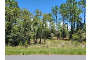 SW BEACH BLVD, DUNNELLON, FL 34431 Sold 08/26/25