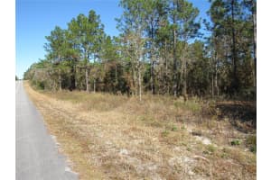 0000 SW SANDS PT AVE LOT 32, DUNNELLON, FL 34431 - MLS#MFROM706865