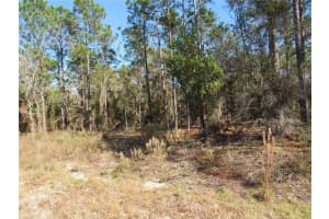 0000 SW SANDS PT AVE LOT 32, DUNNELLON, FL 34431 - MLS#MFROM706865