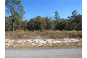0000 SW SANDS POINT AVE LOT 38, DUNNELLON, FL 34431 - MLS#MFROM706866