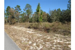 0000 SW SANDS POINT AVE LOT 38, DUNNELLON, FL 34431 - MLS#MFROM706866