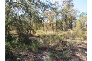 0000 PLAZA COURT COURT, DUNNELLON, FL 34431 - MLS#MFROM706867