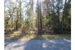 0000 BEAVER DRIVE, DUNNELLON, FL 34431 - MLS#MFROM706868