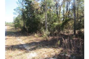 0000 BEAVER DRIVE, DUNNELLON, FL 34431 - MLS#MFROM706868
