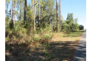 0000 NAUTILUS BOULEVARD, DUNNELLON, FL 34431 - MLS#MFROM706869