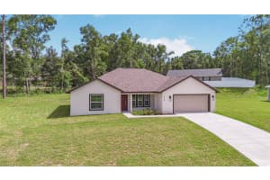 8768 SALINA DRIVE, CITRUS SPRINGS, FL 34434 - MLS#MFROM706872