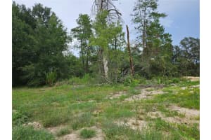 0 46 CIRCLE, OCALA, FL 34473 - MLS#MFROM706873