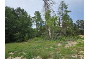 0 46 CIRCLE, OCALA, FL 34473 - MLS#MFROM706873