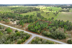LOT22 TIGER LAKE BOULEVARD, DUNNELLON, FL 34431 Sold 09/12/25