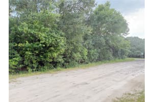 0 SW 112TH STREET, DUNNELLON, FL 34432 - MLS#MFROM706924