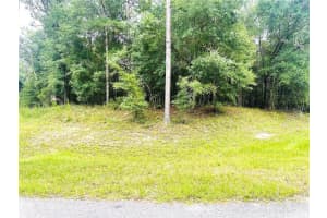 0000 185 AVENUE ROAD ROAD, DUNNELLON, FL 34432 - MLS#MFROM706964