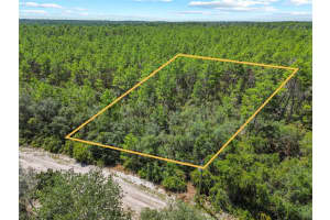 00 SE 142 PL, UMATILLA, FL 32784 - MLS#MFROM706996