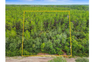 00 SE 142 PL, UMATILLA, FL 32784 - MLS#MFROM706996